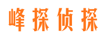 锦江市婚外情调查